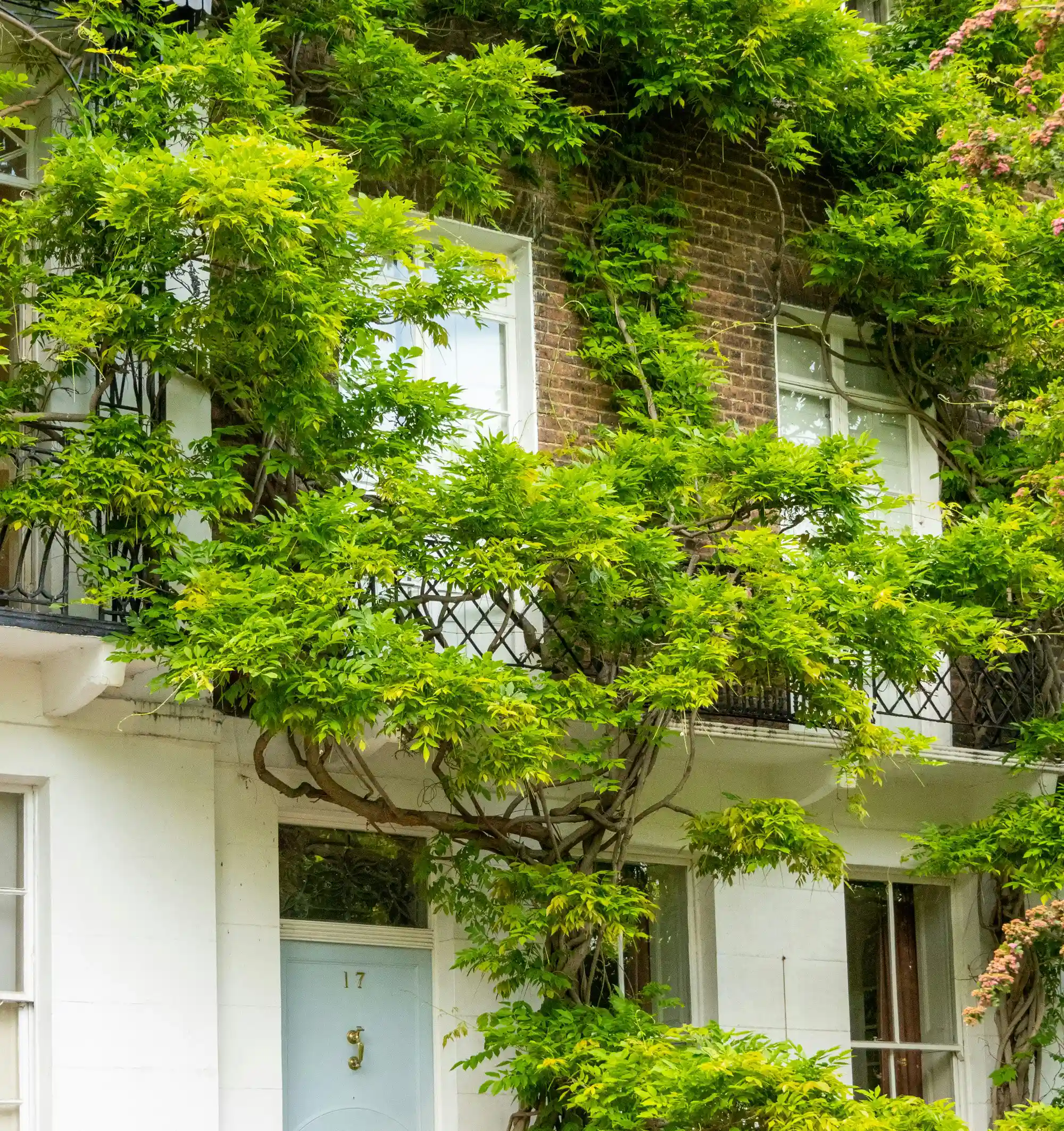Immobilienverrentung bk wohnungsrecht